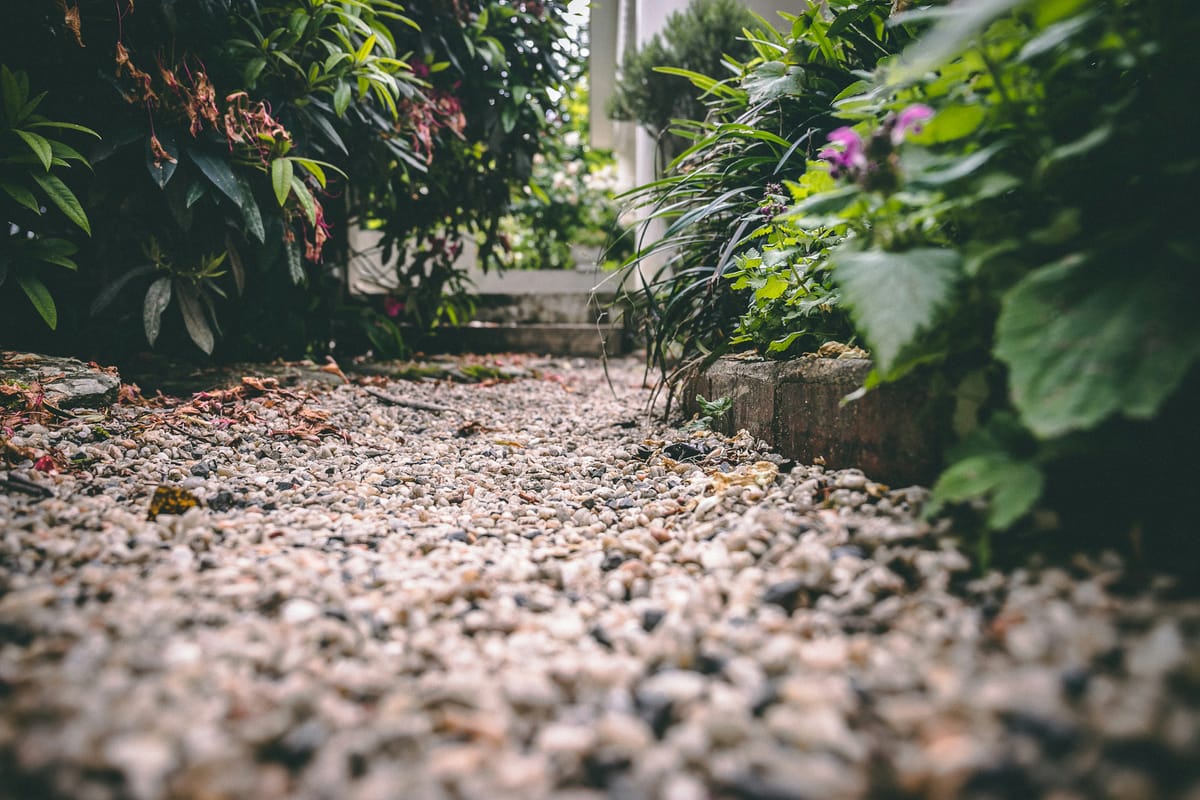 Grindpad tussen weelderige borders met bloeiende planten