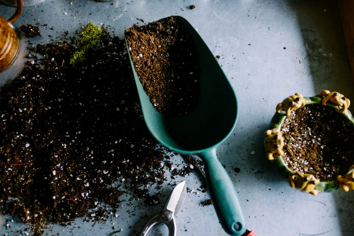 Groen plantschepje met potgrond op een werkblad